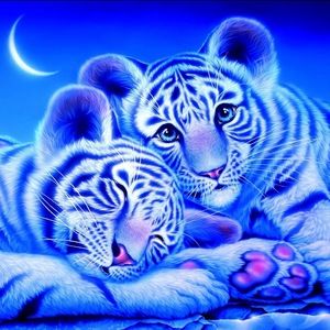 Meet your Posher, Lula